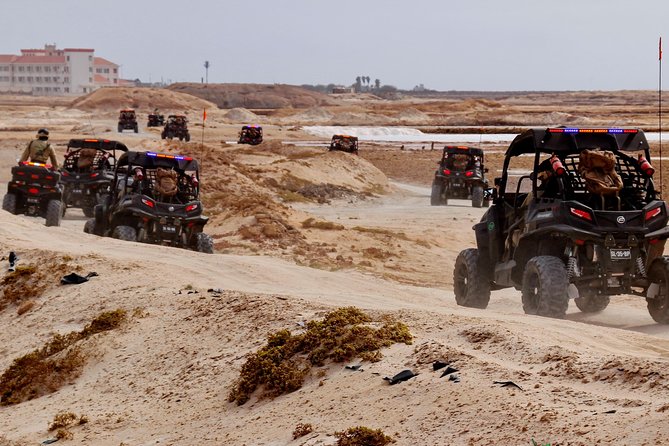 2h SSV Buggy Desert Adventure - 1000cc or 500cc - Kite Beach in winter vs summer: wind sports and turtle season