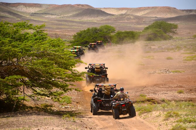 2h SSV Buggy Desert Adventure - 1000cc or 500cc - Murdeira Bay and Lion Mountain views