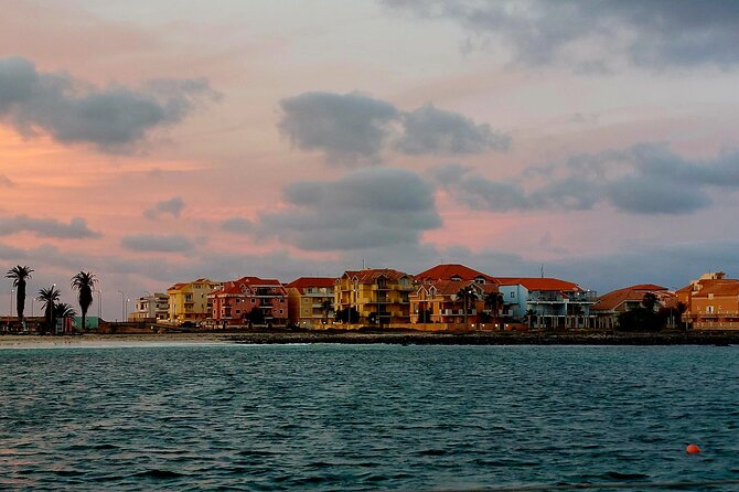 3 Hours Yacht Sailing Activity in Cabo Verde, Santa Maria - Wildlife Spotting: Flying Fish, Turtles, Dolphins, Whales