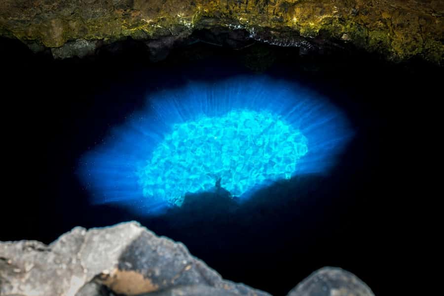 Adults Only Tour of Sal with Lobster Lunch and Salt Lake - Pedra de Lume salt lake float: in a volcanic crater, reached by a tunnel