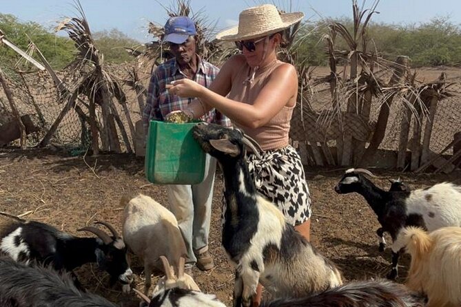 ALL-INCLUSSIVE Cabrer Journey-Live a day like a Cabrer-BoaVista - Village Tour and Stories That Feel Like Living Culture