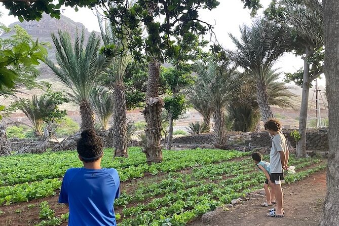 Beaches, Villages and Monte Verde, São Vicente Excludes City - Calhau, lunch in the fishing village, and an agricultural valley stop