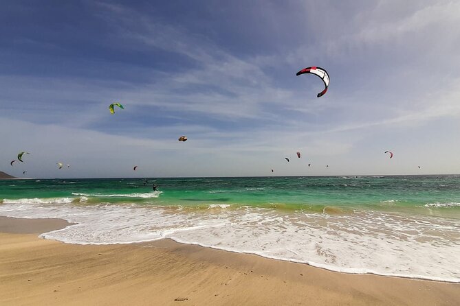BEST VALUE small group island tour w/SHARK experience & salt lake - Language, Comfort, and What to Pack So You Do Not Rush
