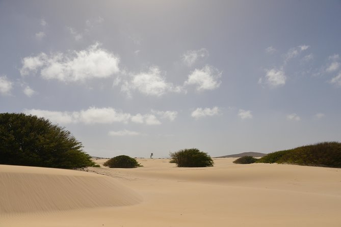 Big Boa Vista Exclusive Tour - Praia de Santa Mónica: The Big Relaxation Stretch