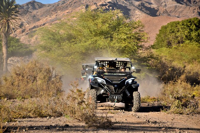 Boa Vista 2h Buggy Death Valley Adventure 1000cc - Dust, Face Coverings, and What to Wear So You Enjoy It