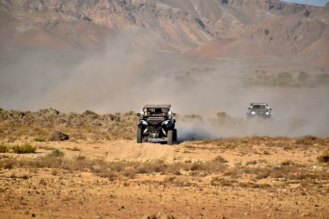 Boa Vista 2h Buggy Death Valley Adventure 1000cc - The Value Question: Is $150.99 Worth It?