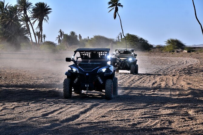 Boa Vista 2h Buggy Death Valley Adventure 1000cc - Weather, Timing, and Who This Tour Fits Best