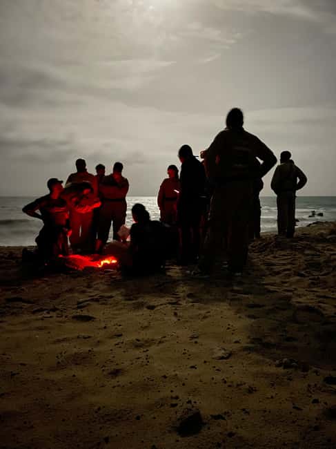 Boa Vista: 3h Turtle Watching Expedition - Key Points You Should Know Before You Go