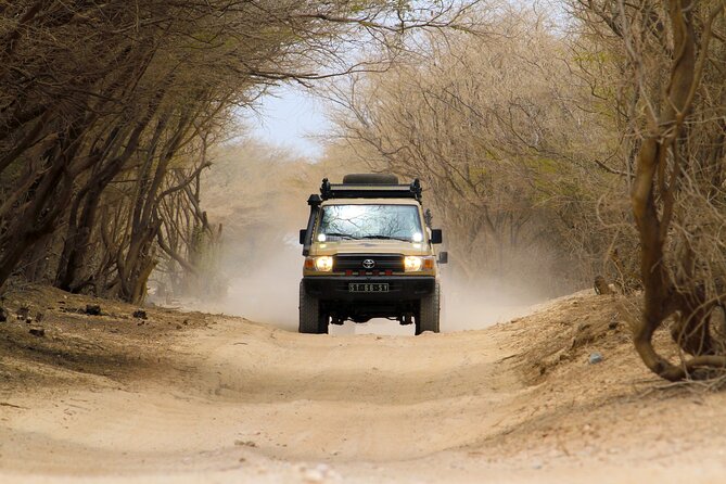Boa Vista: 4h North Jeep Expedition Off-Road - Meeting at No Limits Adventure Boa Vista, Then Off for the 4-Hour Loop