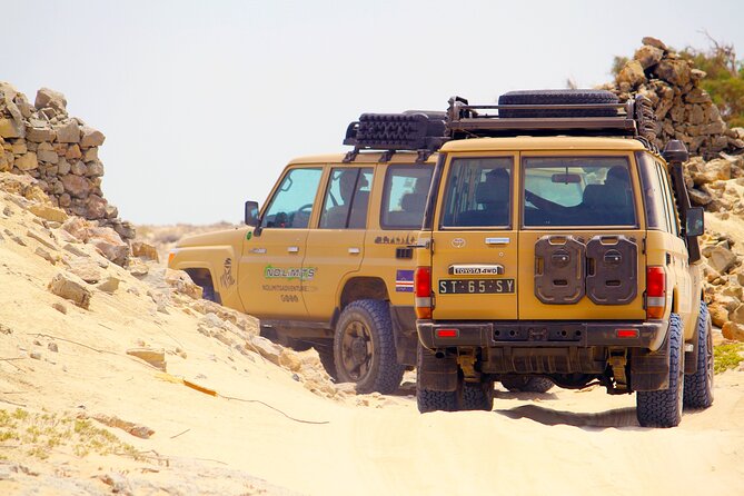 Boa Vista: 4h North Jeep Expedition Off-Road - Cabo Santa Maria Beach and the Spanish Cargo Ship From 1968