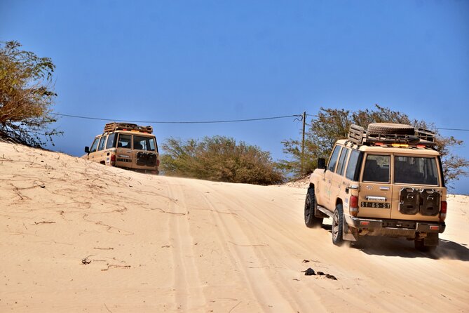 Boa Vista: 4h North Jeep Expedition Off-Road - The Ride Experience: Small Group, Real Off-Road, 4 Hours Total