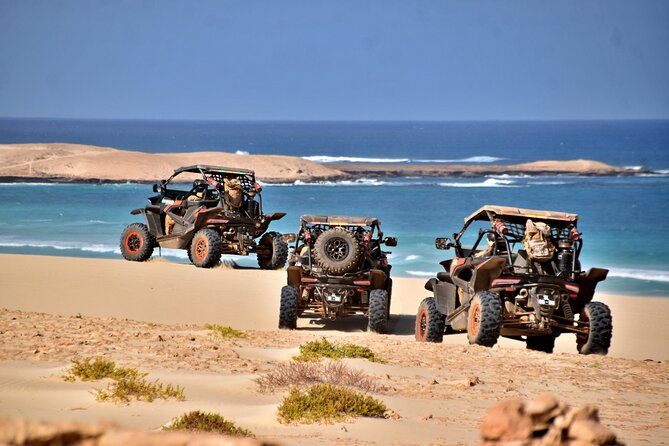 Boa Vista 4h South Buggy Adventure 1000cc - Key Points You’ll Care About