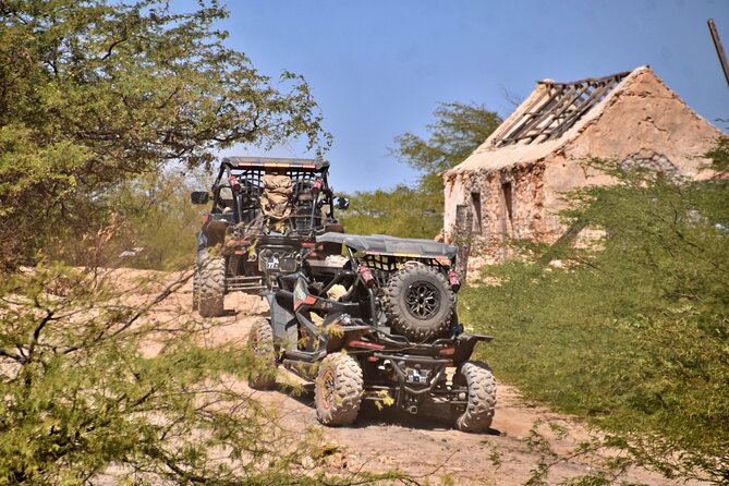 Boa Vista 4h South Buggy Adventure 1000cc - Why a 1000cc Buggy on Boa Vista’s South Coast Feels Different