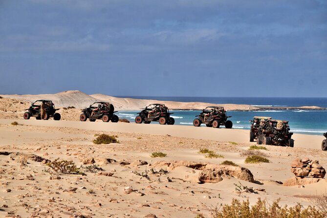 Boa Vista 4h South Buggy Adventure 1000cc - Santa Monica Beach at Praia de Curralinho: The Big Sand Moment