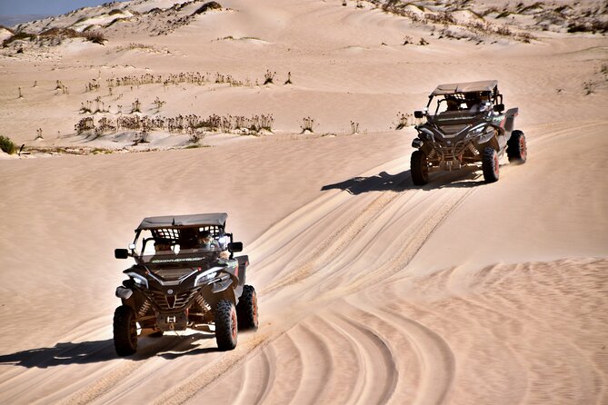 Boa Vista 4h South Buggy Adventure 1000cc - Who This 4-Hour Buggy Adventure Is For
