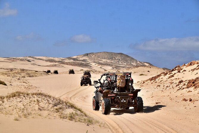 Boa Vista 4h South Buggy Adventure 1000cc - Price and Value: What $289.62 per Group Really Means