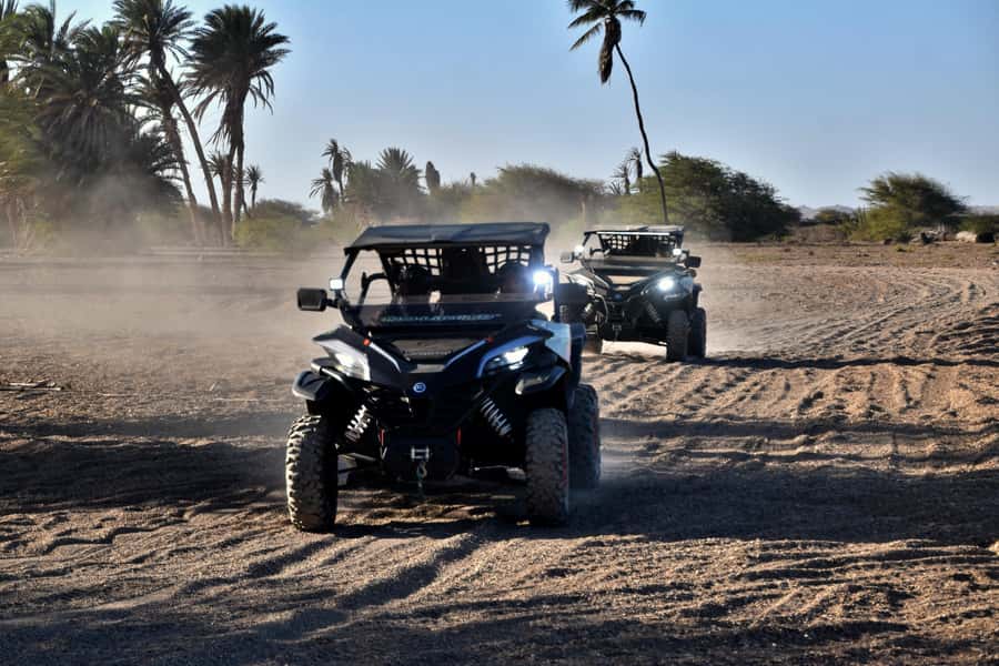 Boa Vista Buggy Tour: Death Valley Adventure (2-Hour) - Who This 2-Hour Death Valley Buggy Tour Is Best For