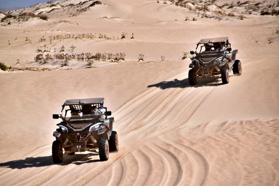 Boa Vista Buggy Tour: Santa Monica & South Desert (4-Hour) - Key highlights that make this buggy tour worth your time
