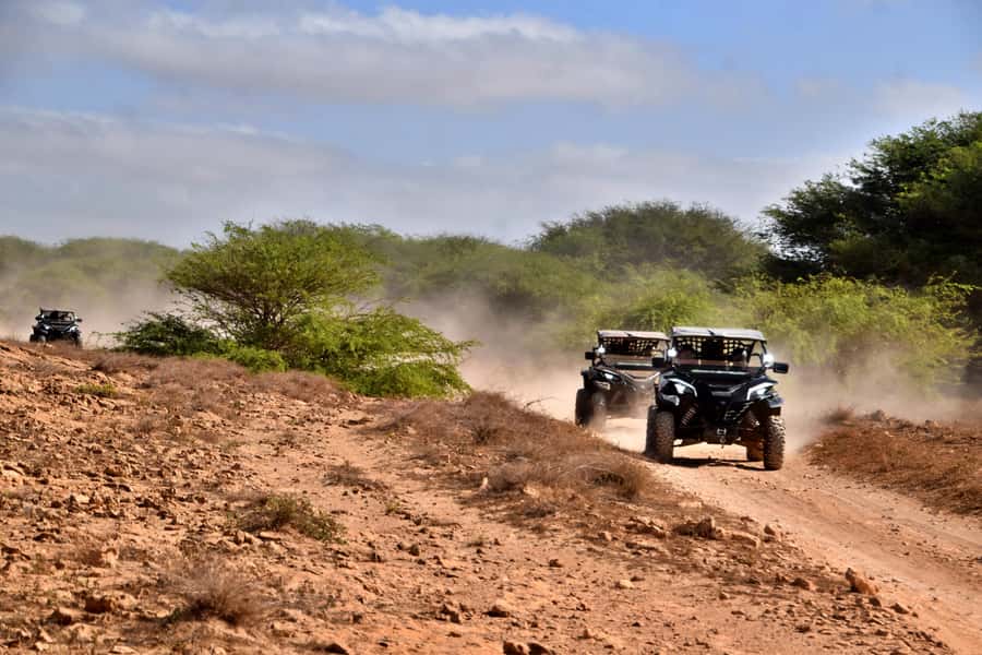 Boa Vista Buggy Tour: Santa Monica & South Desert (4-Hour) - Praia de Chaves and the Chaminé chimney stop