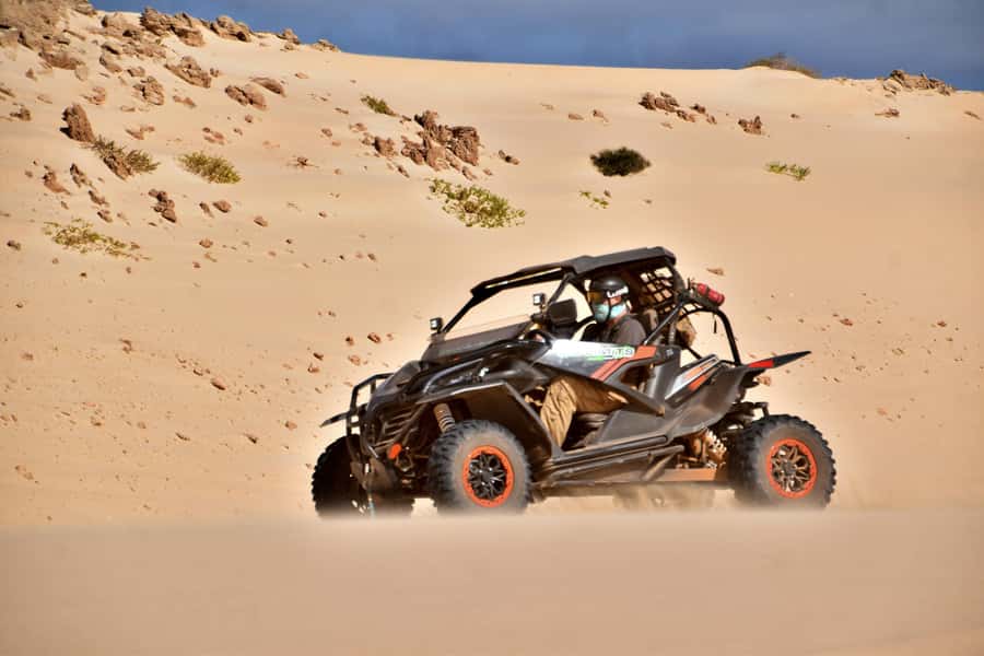 Boa Vista Buggy Tour: Santa Monica & South Desert (4-Hour) - Price and value, what $293 per group really means