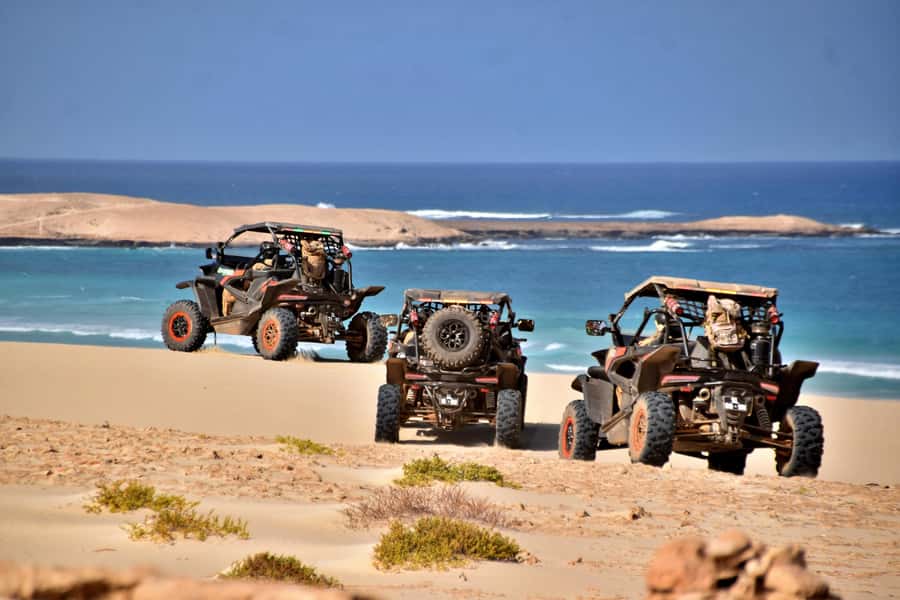 Boa Vista Buggy Tour: Santa Monica & South Desert (4-Hour) - The buggy setup: what you get and what it means for you