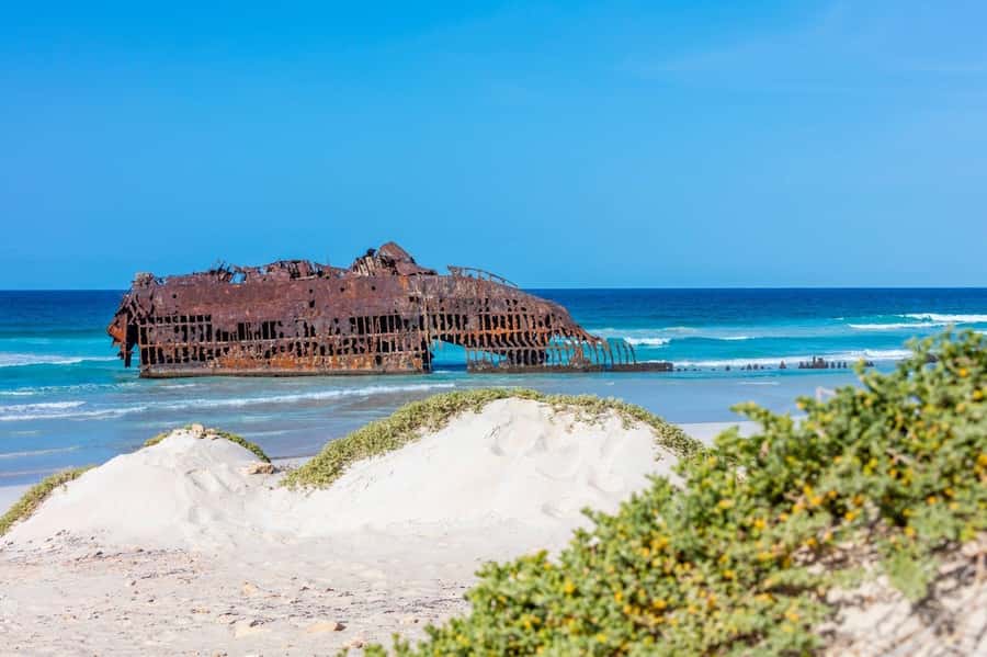 Boa Vista Full Day 4x4 Island Tour with Beachfront Lunch - Santa Monica beach finale with 15 km of white sand