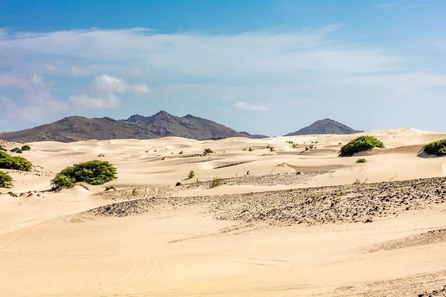 Boa Vista Full Day 4x4 Island Tour with Beachfront Lunch - Viana Desert: your first taste of Boa Vista’s Sahara