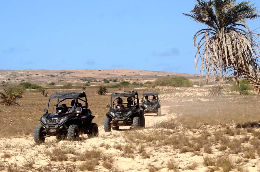 Boa Vista Island: Dunes, Desert &Sal Rei 4WD Buggy Adventure - Who this tour suits best on Boa Vista