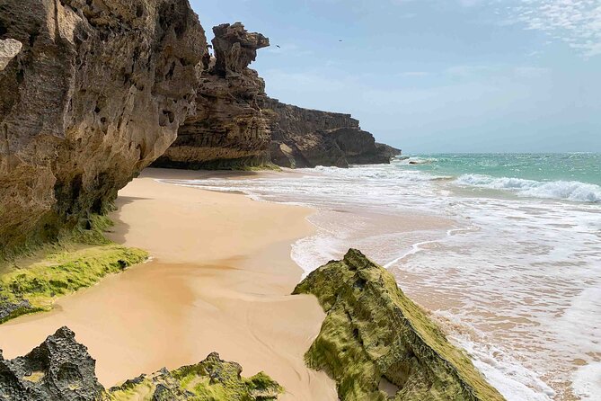 Boa Vista Island: Full Day North to South Discovery - Key highlights you should plan around