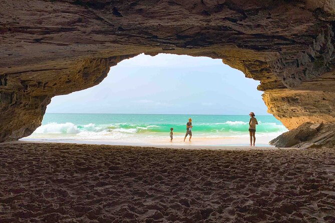 Boa Vista Island: Full Day North to South Discovery - Morning at Morro de Areia: sandboarding, dunes, and sea life chances