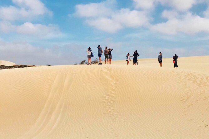 Boa Vista Island: Full-Day Wild Beaches & Viana Desert Experience - Fonte Vicente Oasis, Fruit Trees, and the Baobab Moment