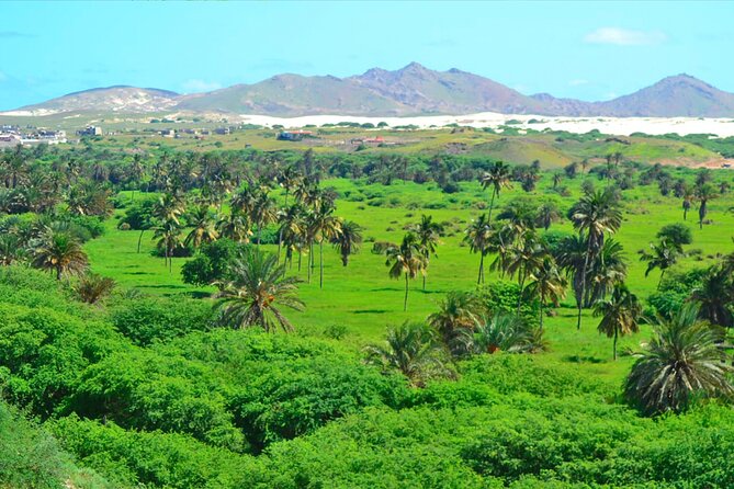 Boa Vista Island: Full-Day Wild Beaches & Viana Desert Experience - Curral Velho Salt Mine and the Ghost Fishing Village Feel