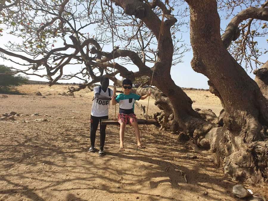 Boa Vista Island: Full-Day Wild Beaches & Viana Desert Tour - Key Highlights You’ll Actually Feel