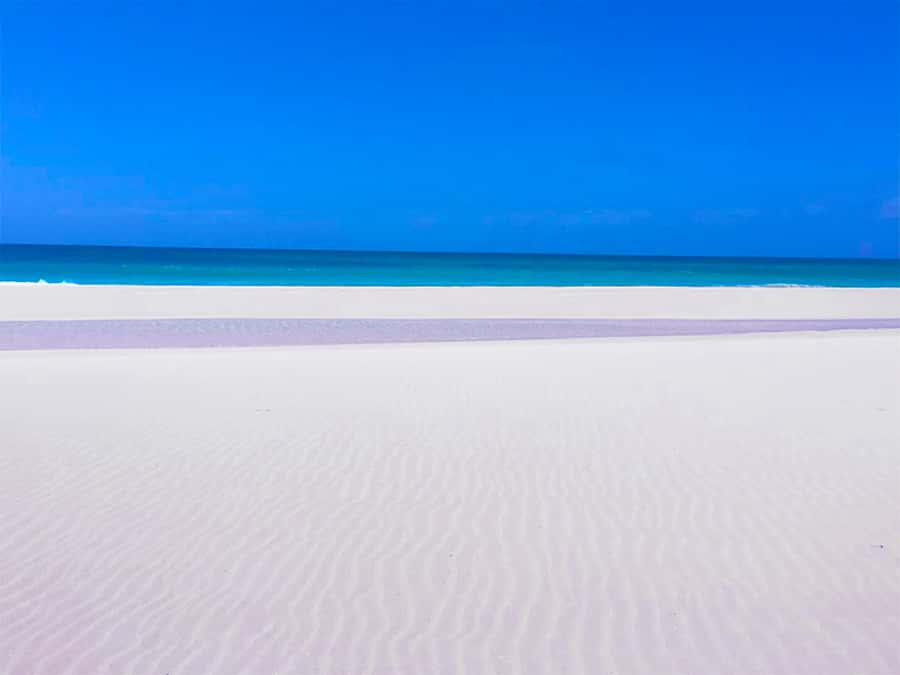 Boa Vista Island: Guided Santa Monica Beach & Caves Tour - Key highlights worth your time