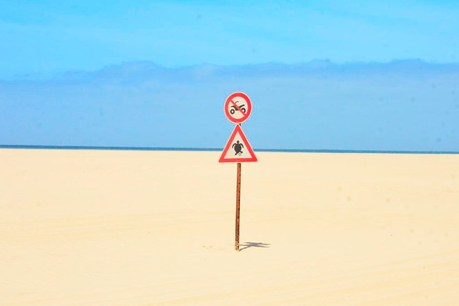 Boa Vista Island: Half-day Northern Tour + Viana Desert Adventure - Viana Desert Adventure: Sahara-Style Dunes and Barefoot Sand Fun