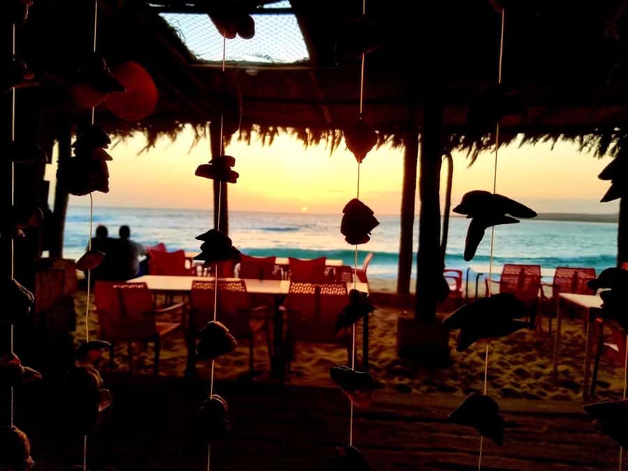 Boa Vista: Lobster Lunch at Santa Monica Beach - The 4-hour flow, from hotel pickup to beach time