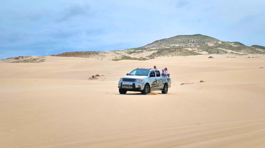 Boa Vista: Shark, Turtles, Cave, Sandboarding & Tasting Tour - Key things I’d prioritize on this tour