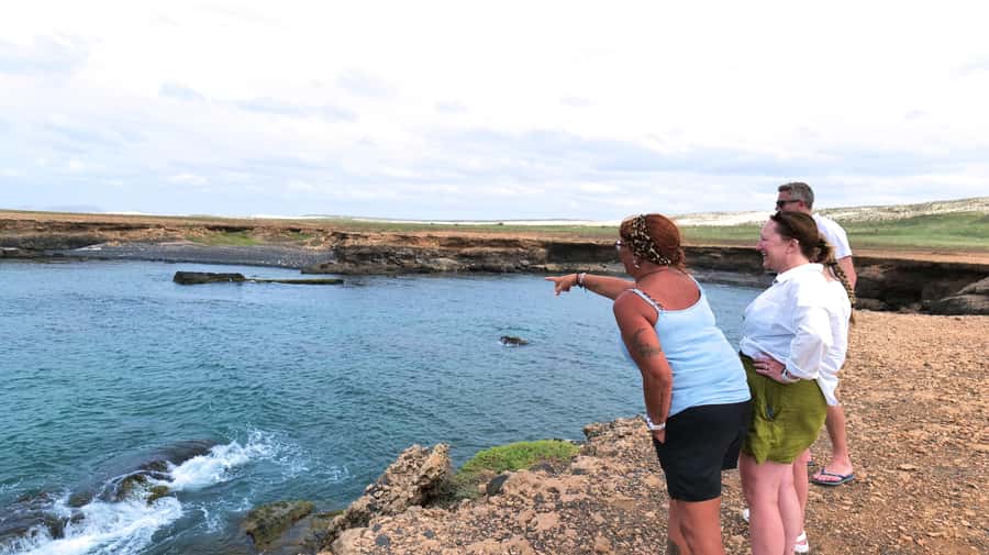 Boa Vista: Shark, Turtles, Cave, Sandboarding & Tasting Tour - Turtle Bay: year-round loggerheads and greens feeding