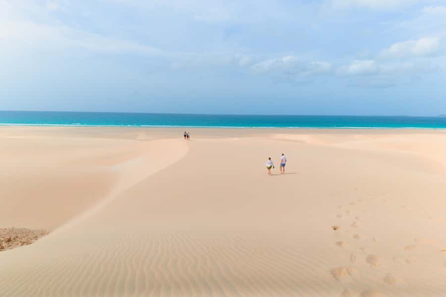 Boa Vista: Shark, Turtles, Cave, Sandboarding & Tasting Tour - Shark Bay: lemon shark nursery and what to do when they don’t show