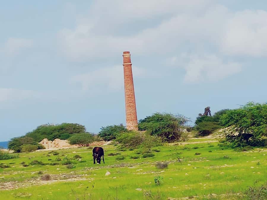 Boa Vista: Shipwreck, 4x4 Ride & Caves Day Tour with Lunch - Varandinha Beach caves: limestone wonders with a coastal twist