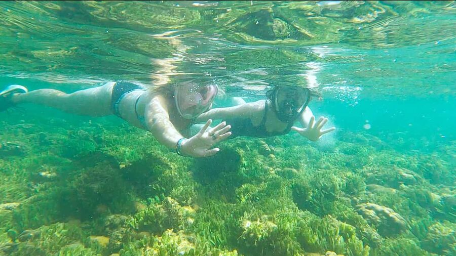 Boa Vista: Snorkeling at Gatas Bay & North East Tour - Why this north east route makes sense for Boa Vista