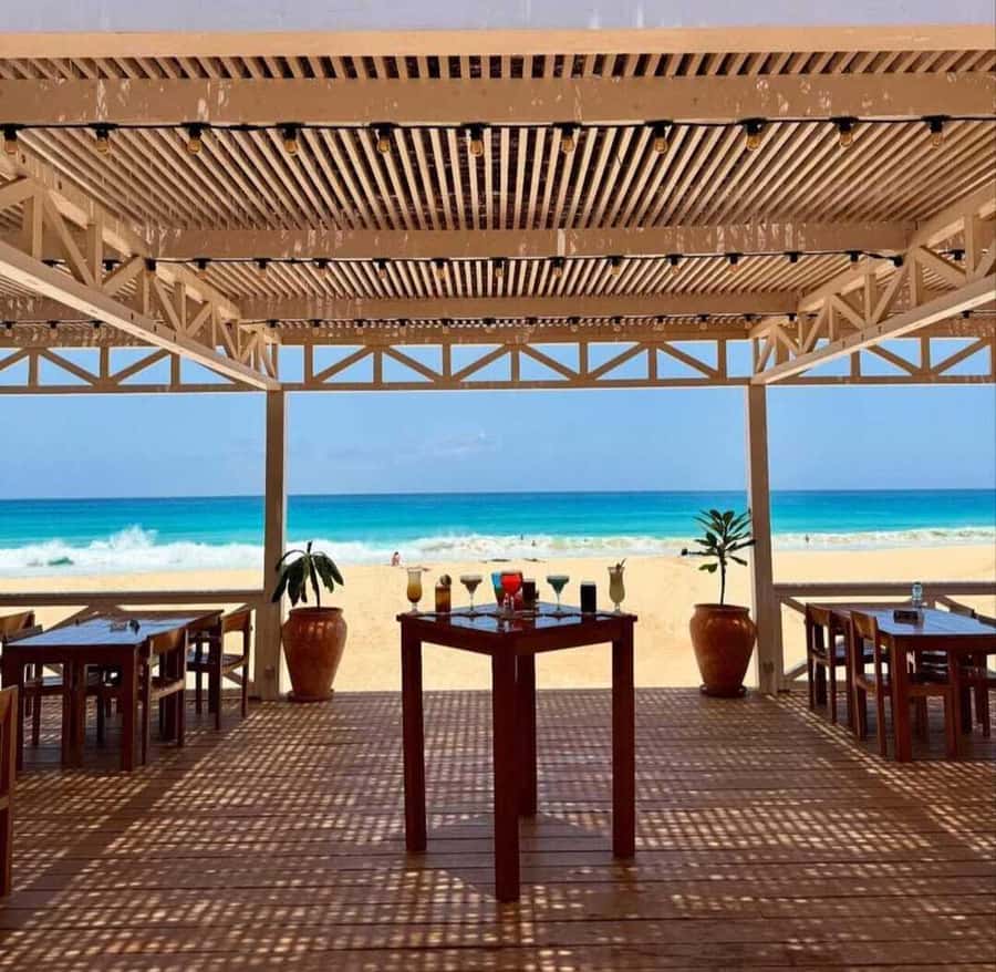 Boa Vista: Turtles, Sharks, City of Sal Rei, Santa Monica Beach, Shipwreck ... - A single day that mixes Boa Vista north and south