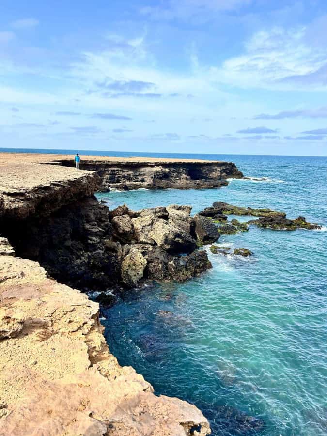 Boa Vista: Turtles, Sharks, City of Sal Rei, Santa Monica Beach, Shipwreck ... - Price and value at $84, plus who this tour suits best