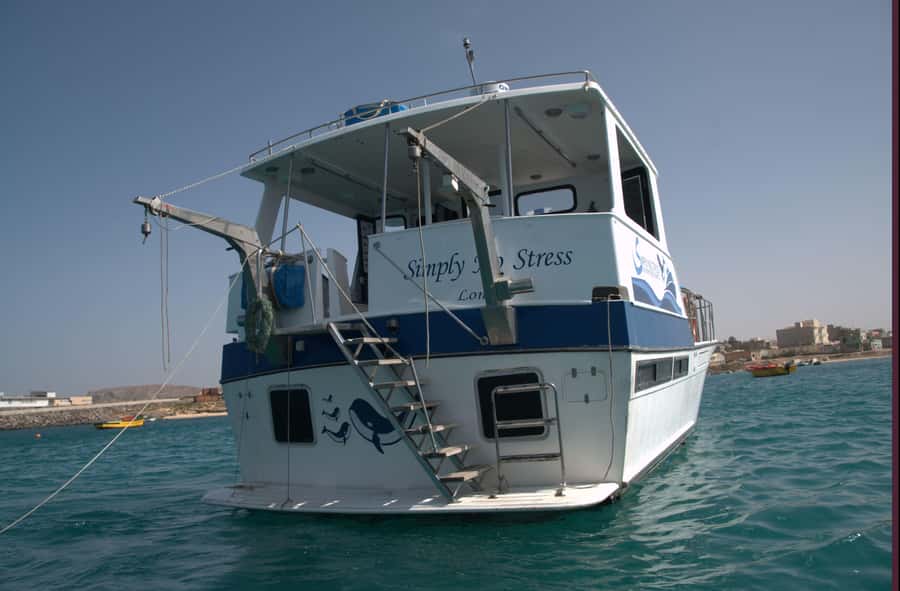 Boa Vista: Whale Watching Trip with Motoryacht - Timing and meeting details you should not ignore