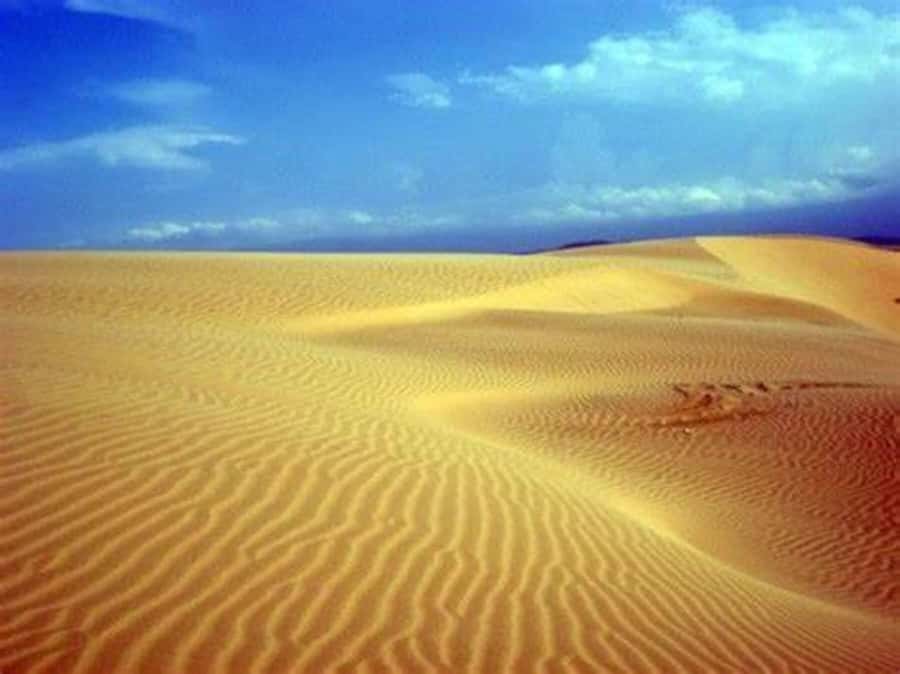 Boavista: 4h Shipwreck, Desert, Fatima Chapel & Pottery Tour - First, the big picture: what kind of day this is