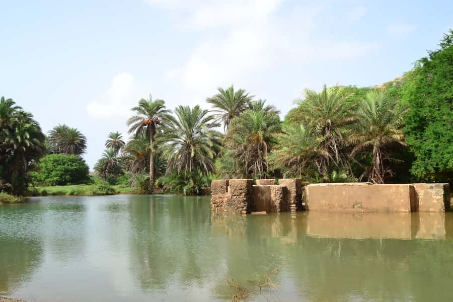 Boavista: Rabil, Shipwreck, City, Snacks & Drinks - 4x4 Tour - Sal Rei City Essentials: Where Boa Vista Runs on Real Life