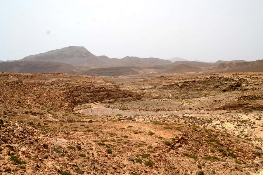 Boavista: Traditional & Local Experience Tour - Price and value: is $82 for 4 hours fair?