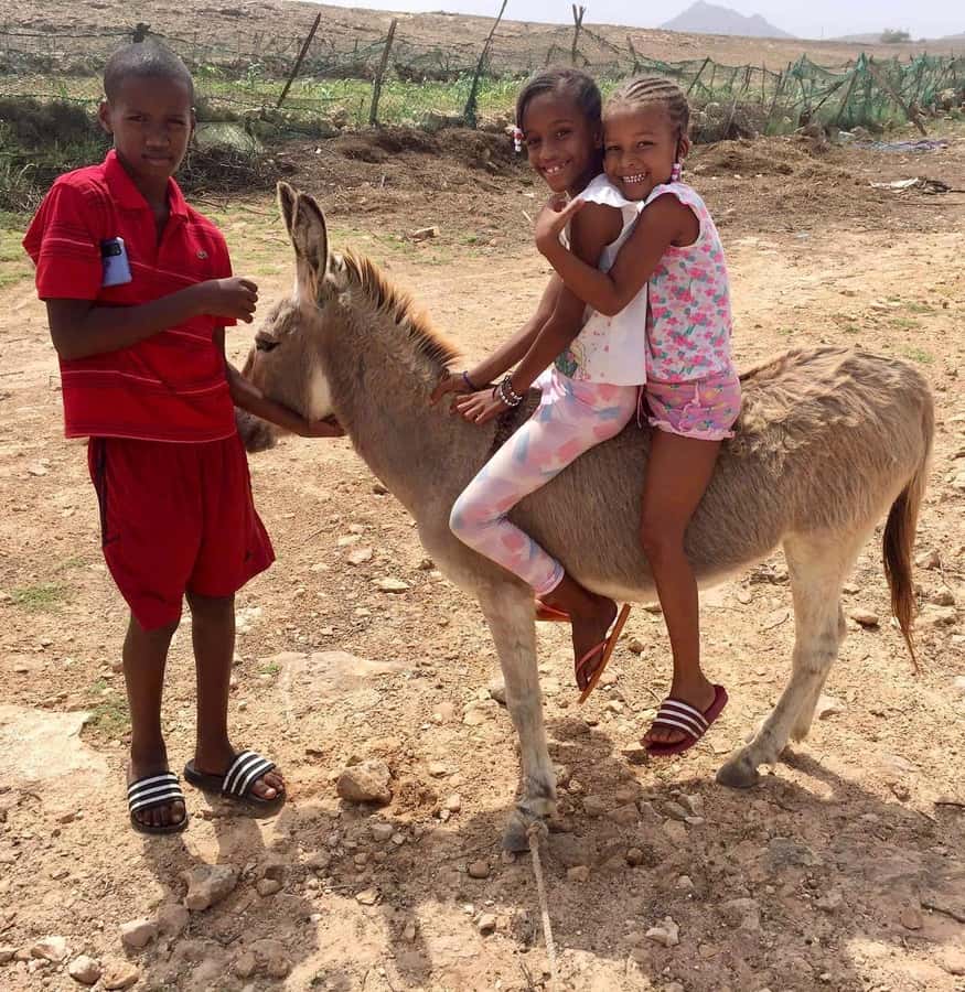 Boavista: Traditional & Local Experience Tour - Bofareira Farm: where the day starts with animals and farm life