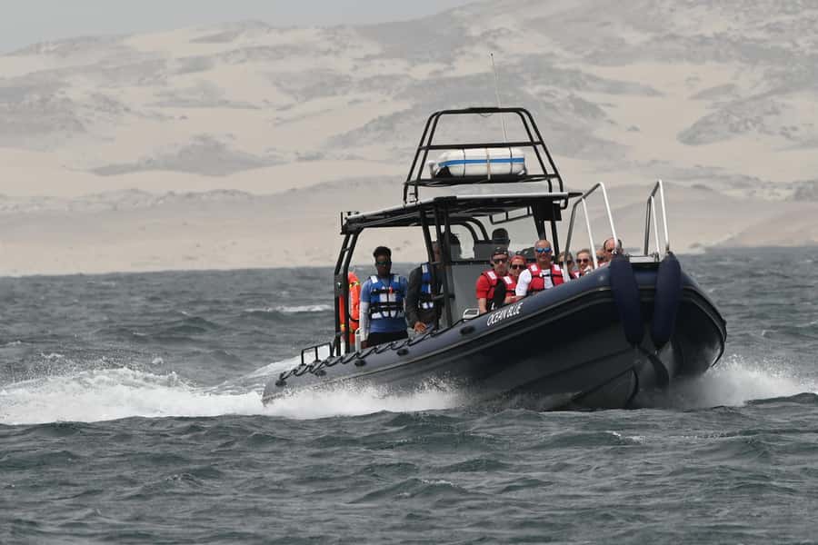 Boavista: Whale Watching half day trip - Who Should Book, and Who Should Skip This Trip