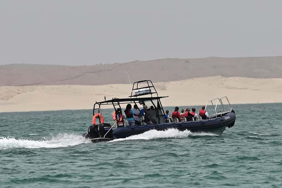 Boavista: Whale Watching half day trip - What to Bring So the Day Feels Good